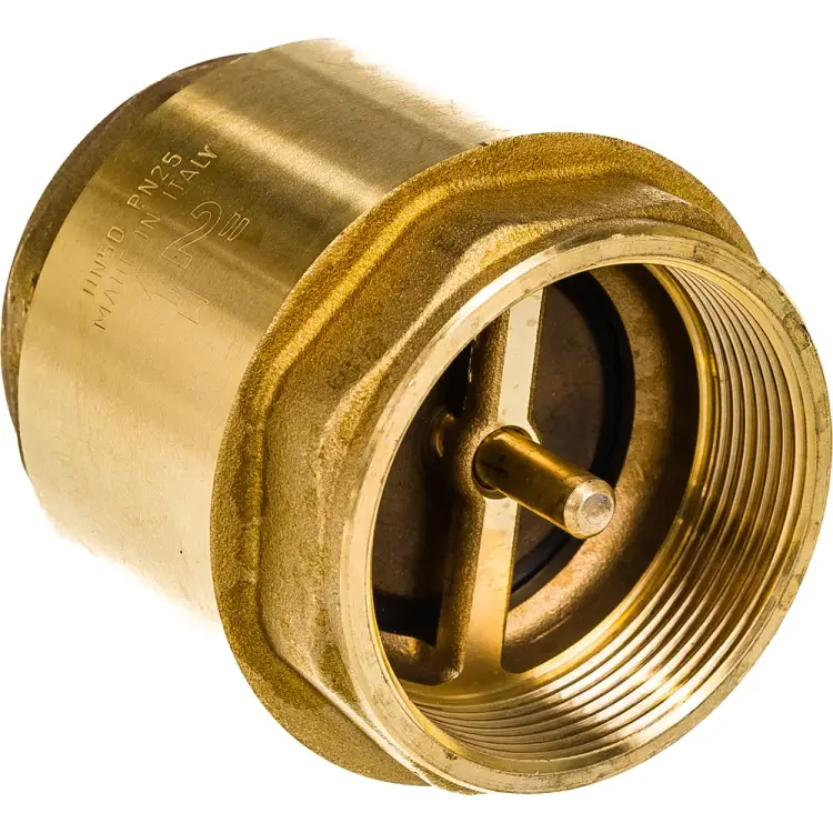 Обратный клапан Giacomini R60 R60Y038 019-0904