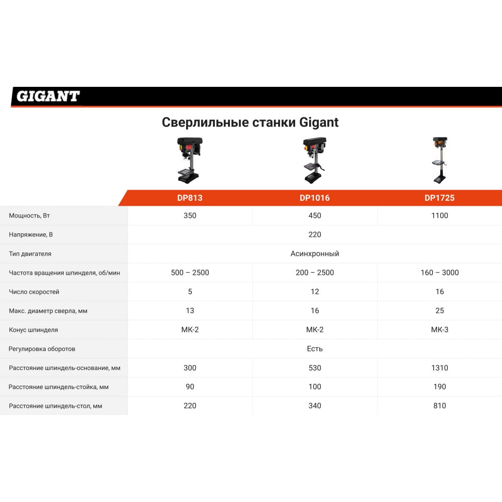 Сверлильный станок Gigant DP1725