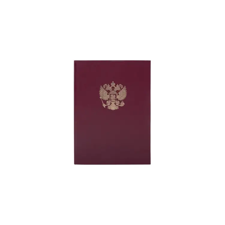 Книга учета BRAUBERG 130276