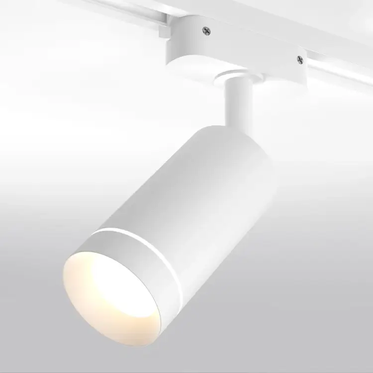 Трековый однофазный светильник Elektrostandard Glory LTB39 a044000