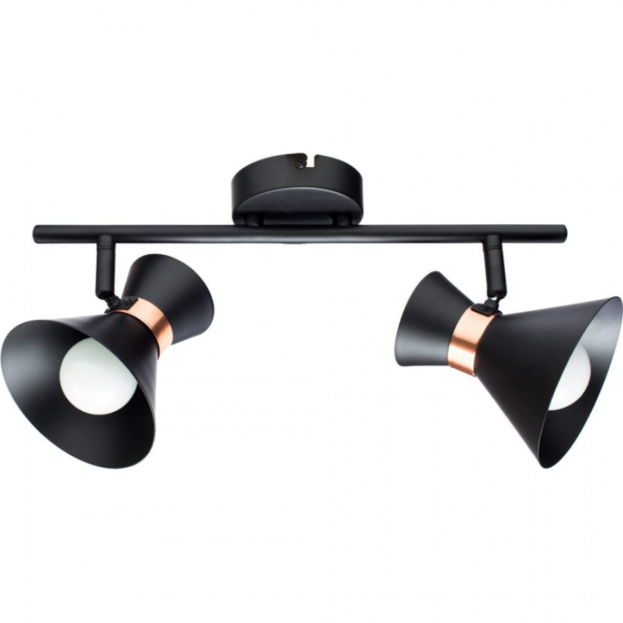 Настенный светильник ARTE LAMP A1406AP-2BK
