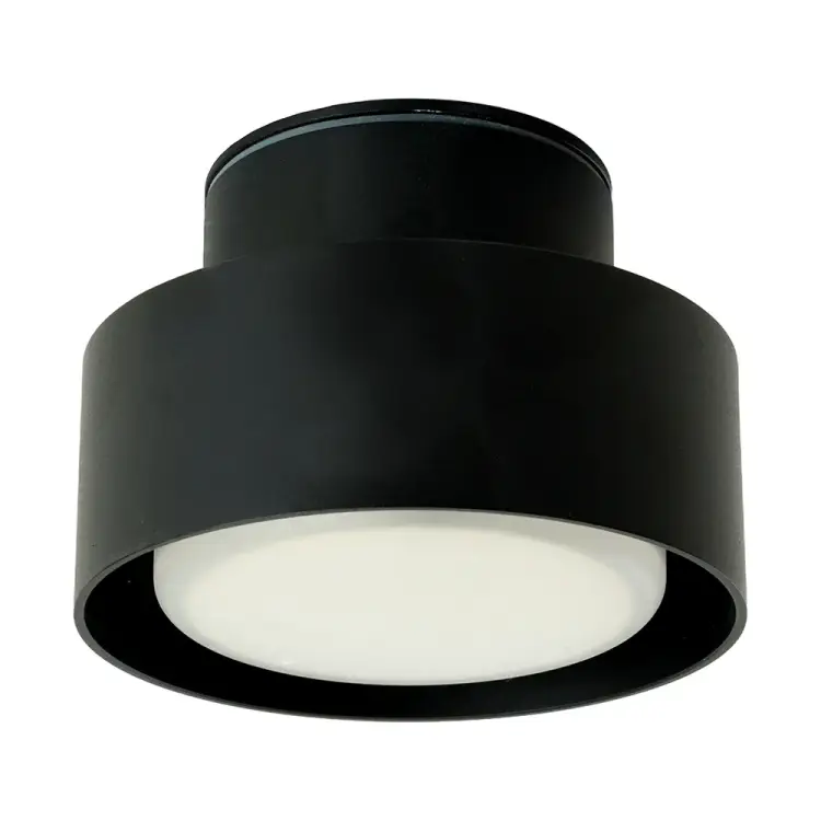 Потолочный светильник FERON 48406