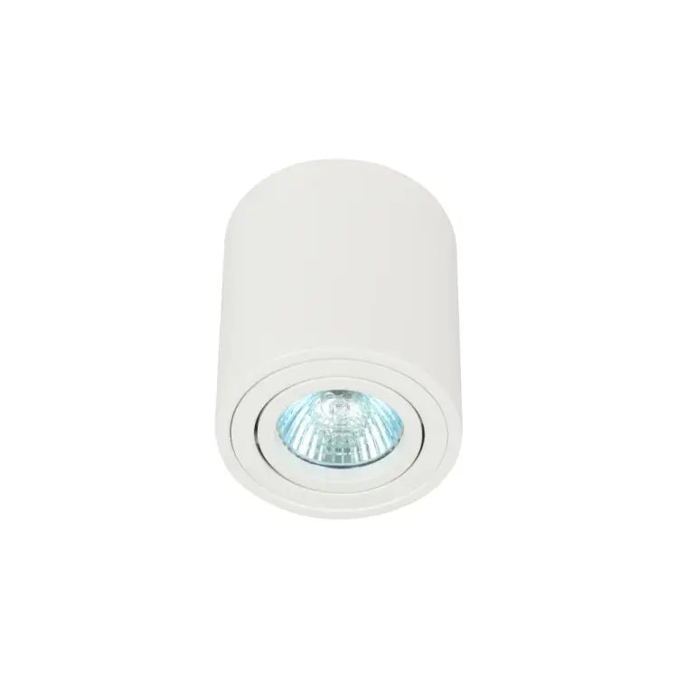 Поворотный настенно-потолочный светильник-спот ЭРА OL21 WH Б0054392