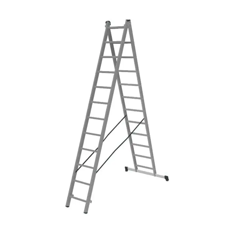 Двухсекционная лестница Gigant L-02