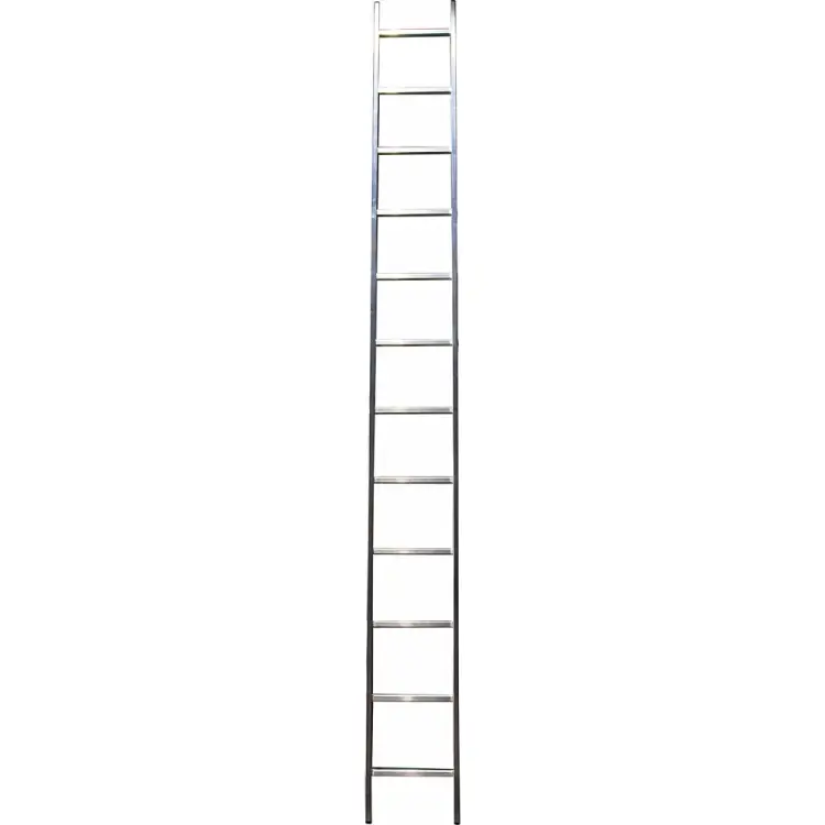 Односекционная лестница Gigant L-01