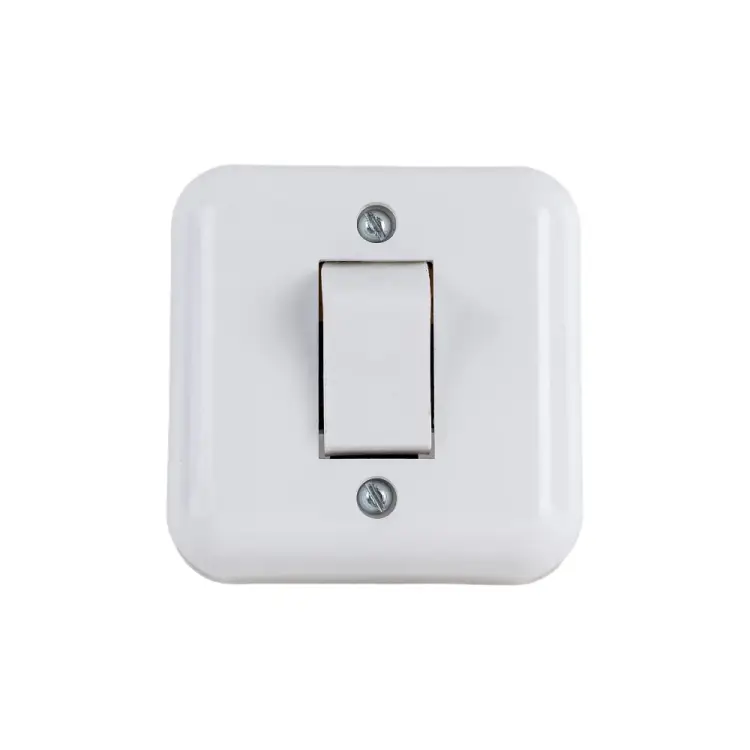 Одноклавишный выключатель ООО Ливны-Электро А1-001 УХЛ 4 ВОП 12