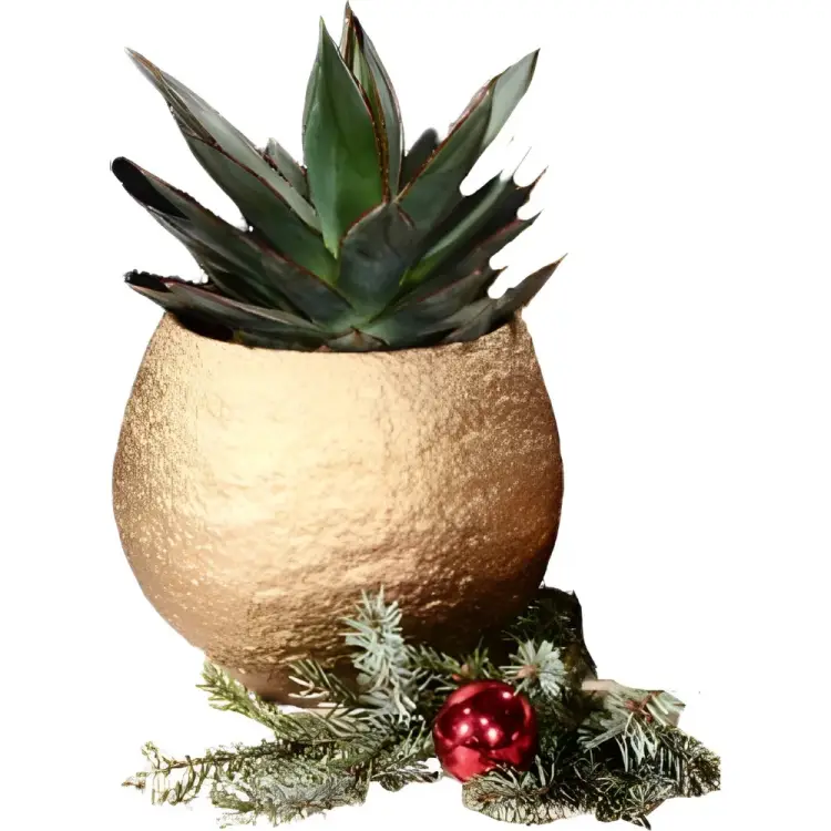 Кашпо SCHEURICH Nugget 072219