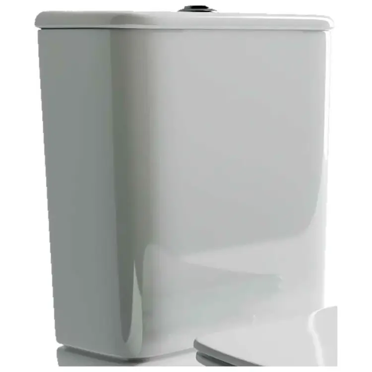 Бачок для унитаза Ceramicanova FORTUNA Rimless CN9001-T