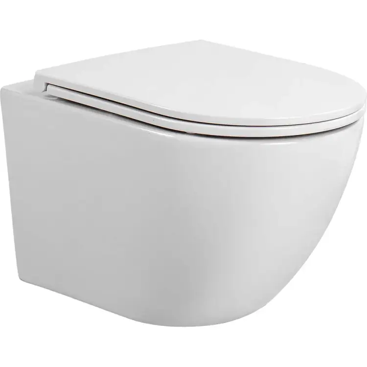 Подвесной унитаз компакт Aquatek Европа 132337