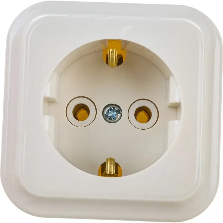 Одноместная розетка BYLECTRICA ПРАЛЕСКА РА16-254 бежевый