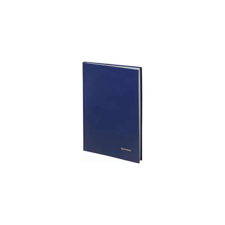 Книга учета BRAUBERG 130226 Книга учета BRAUBERG 130226
