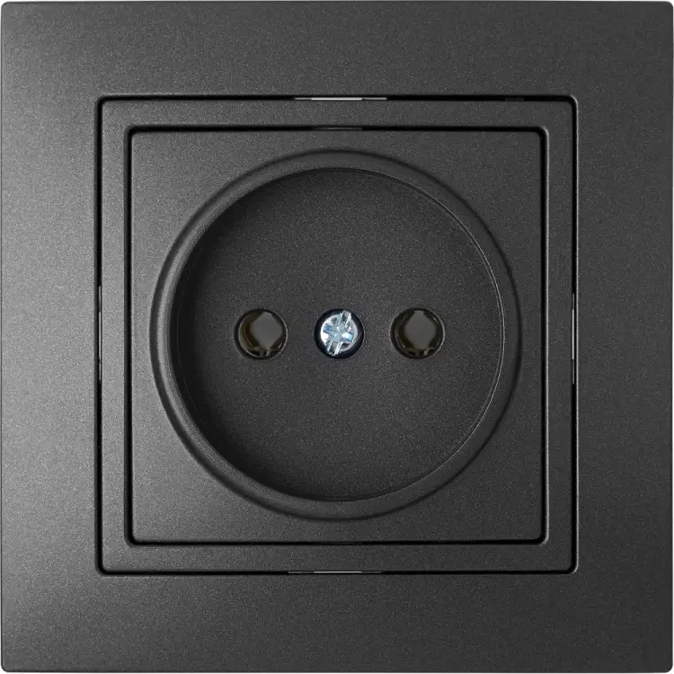 Одноместная розетка BYLECTRICA УЮТ РС16-344 графит