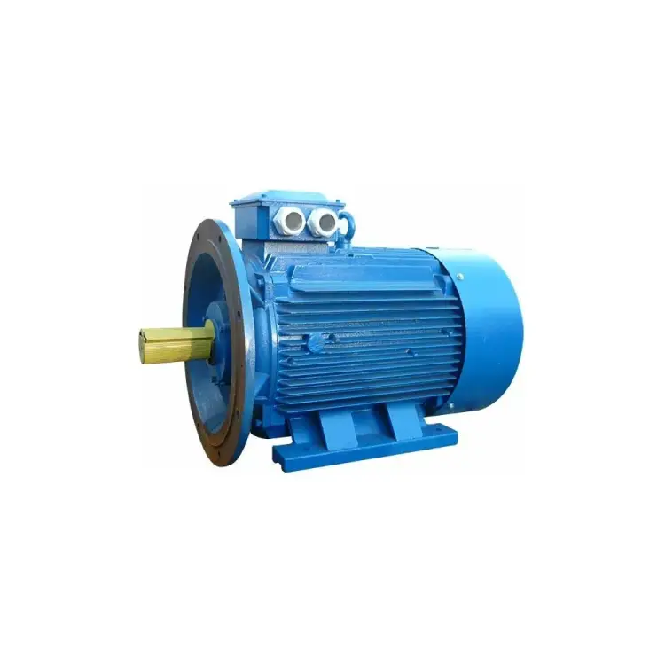 Электродвигатель 5АИ 280 М4 132/1500 IM 2001 01.01.214243