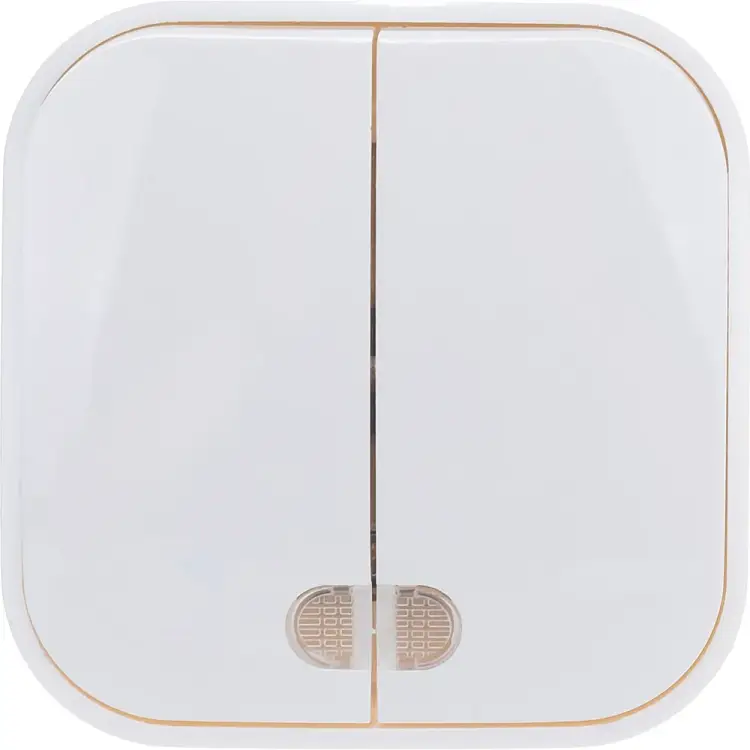 Двухклавишный выключатель IONICH 1414