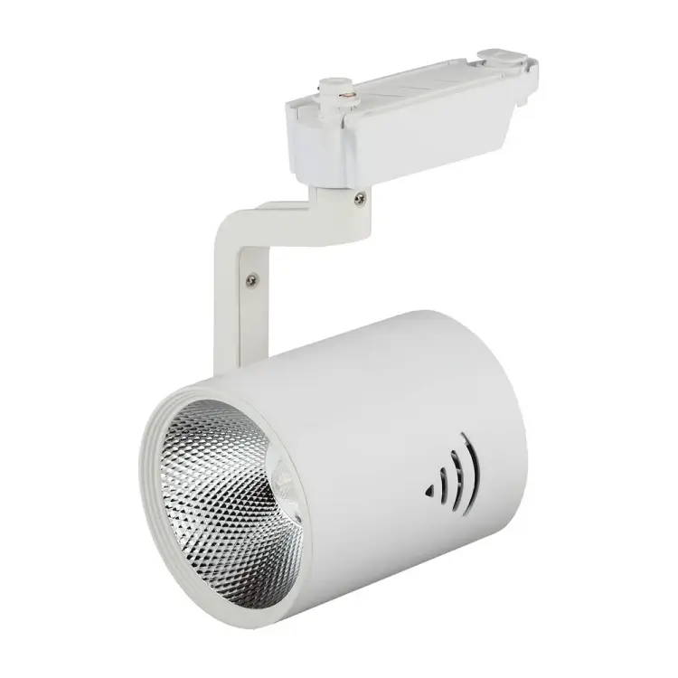 Трековый светильник ЭРА TR1 - 30 WH Б0032099