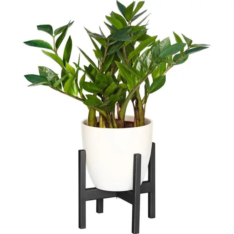 Подставка для кашпо GreenWeen Oxalis 20 GW-O20B