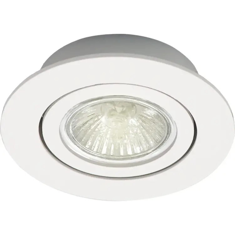 Встраиваемый поворотный светильник truEnergy 21220