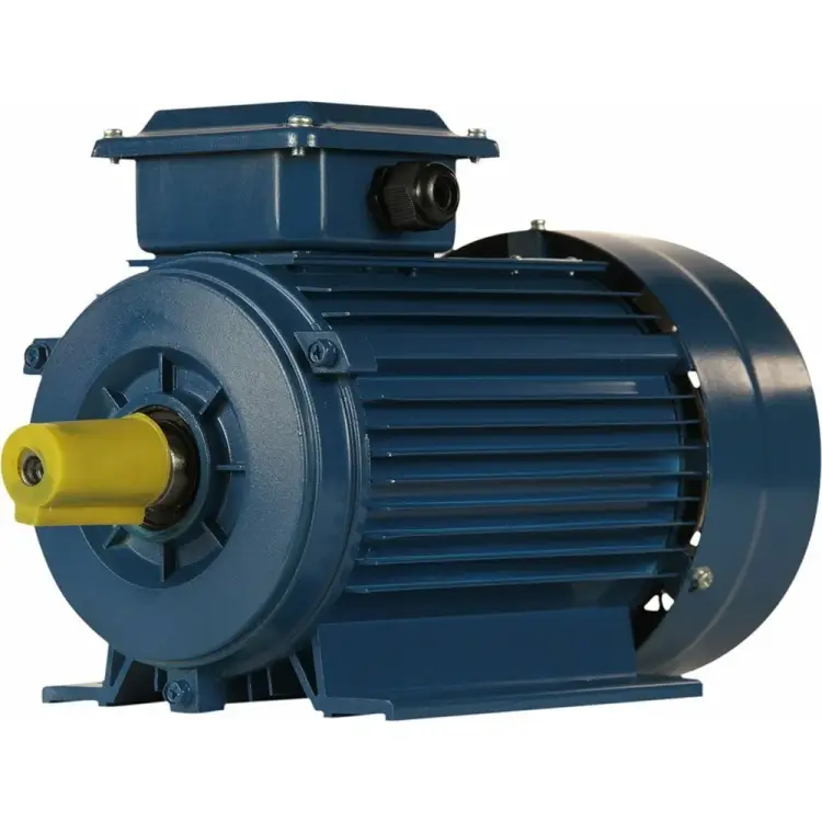 Электродвигатель 5АИ 80 В2 FT100 2.2/3000 IM 2181 01.01.221569