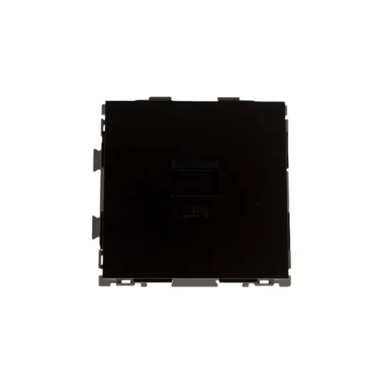 Usb розетка CGSS Практика PL-W201U-BCM