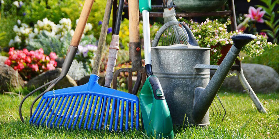 Всё для сада и огорода