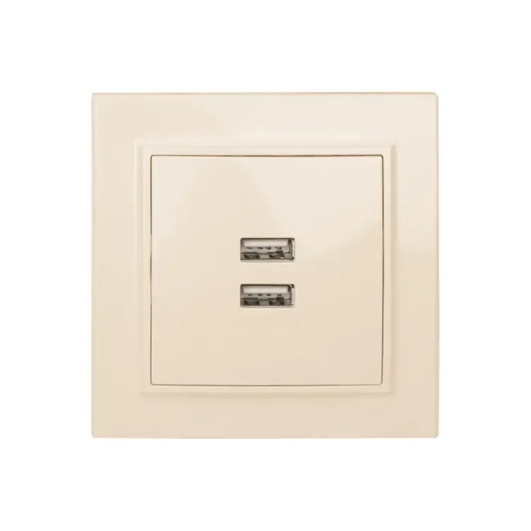 Двухместная usb розетка EKF Минск ERR-2USB-200