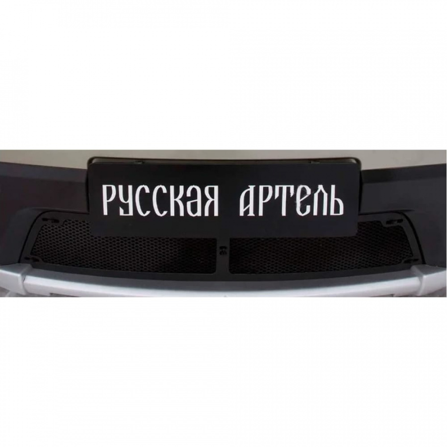 Защитная сетка для Renault Sandero Stepway 2009-2013 г.в. Русская Артель SRR-134052