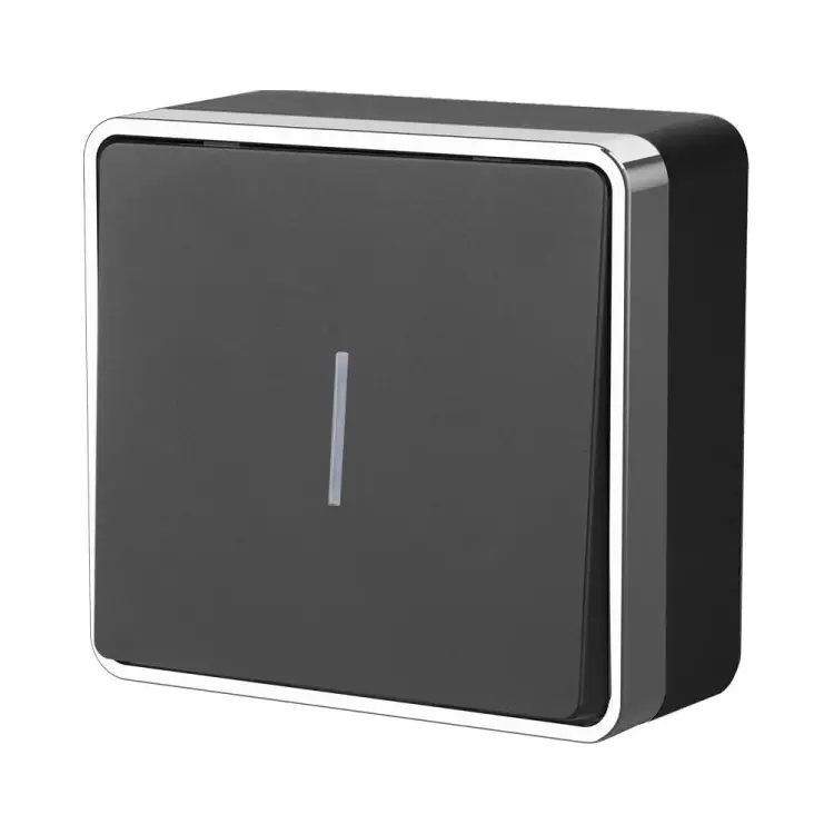 Одноклавишный выключатель WERKEL WL15-01-04 a041691