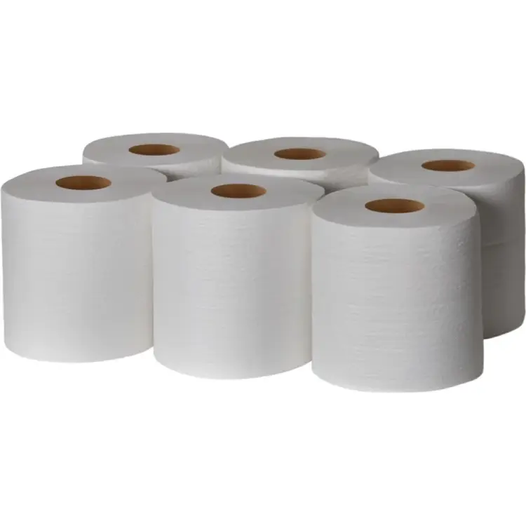 Полотенце в рулоне Бумага Сити БС-1-300-ПЦМ (6шт/уп)/М Полотенце в рулоне Бумага Сити БС-1-300-ПЦМ (6шт/уп)/М