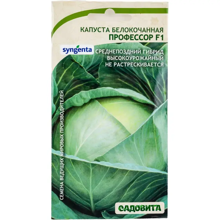 Семена Садовита Syngenta 00216401 Семена Садовита Syngenta 00216401