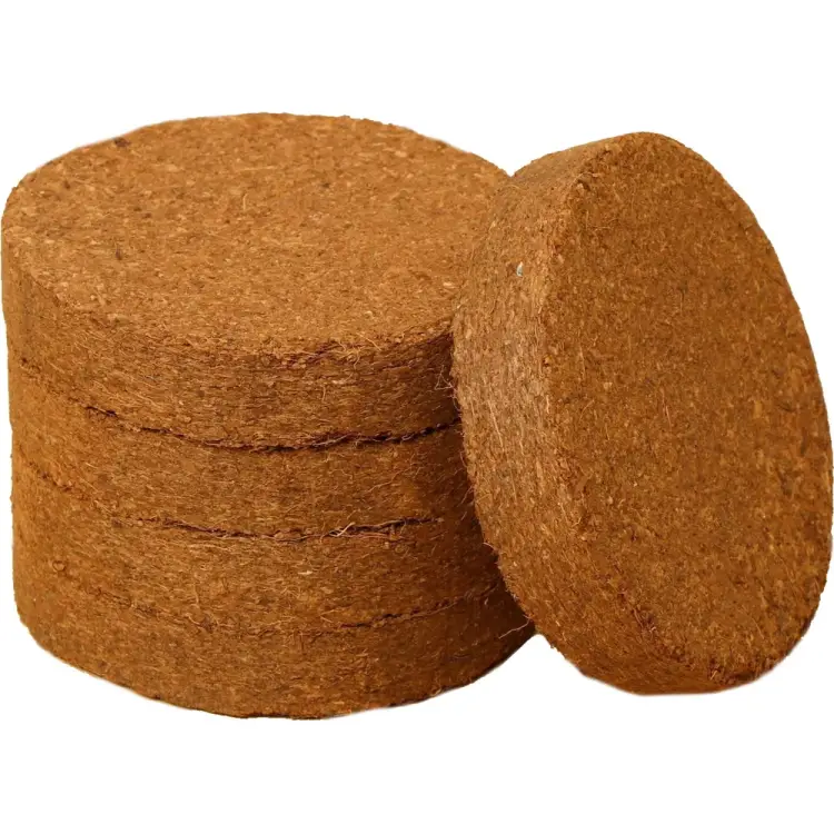 Набор кокосовых таблеток ЛЕТО 97910