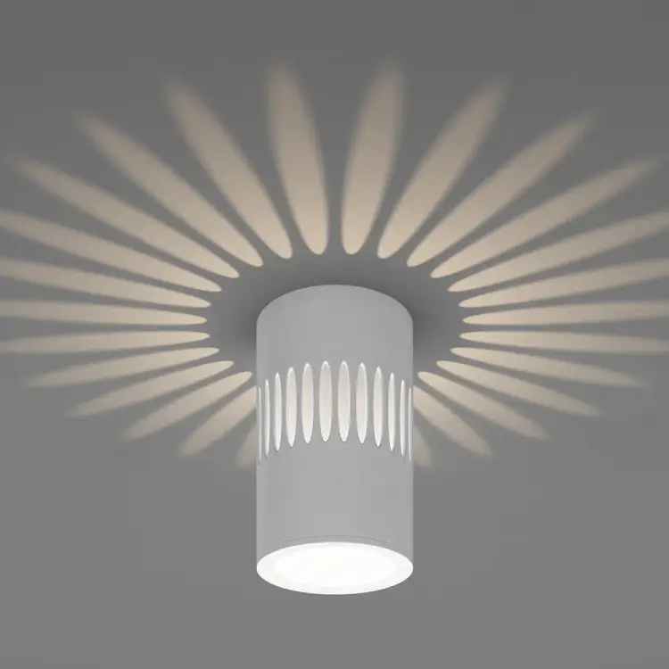 Стационарный светодиодный светильник Elektrostandard DLS026 a047685