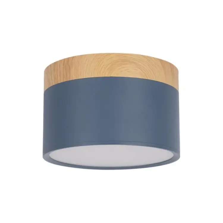 Накладной светильник LOFT IT Grape 10162 Blue