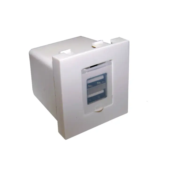 Модуль LANMASTER LAN-EZ45x45-2xUSB-WH