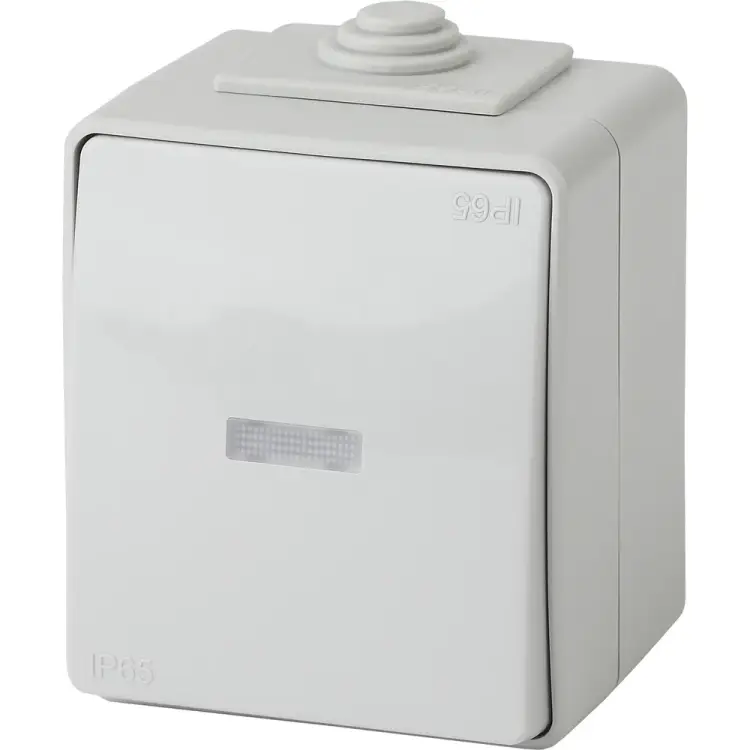 Переключатель ЭРА 11161003 Б0035981