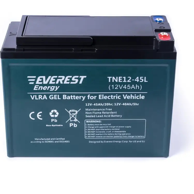 Тяговые аккумуляторные батареи EVEREST Energy TNE12-45L