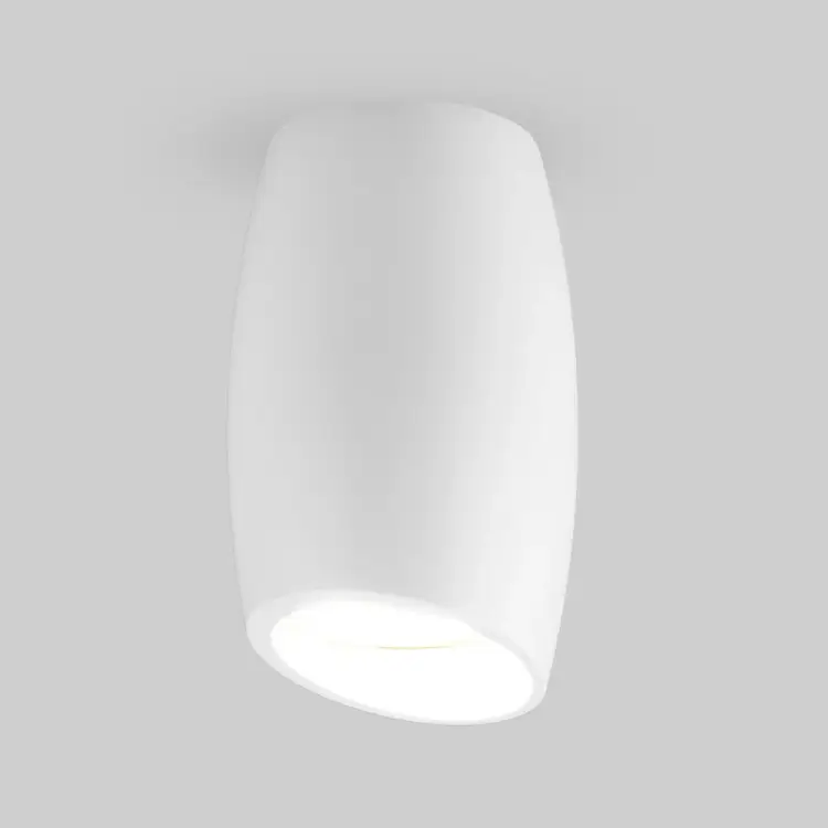 Накладной светильник Elektrostandard DLN002 a046058