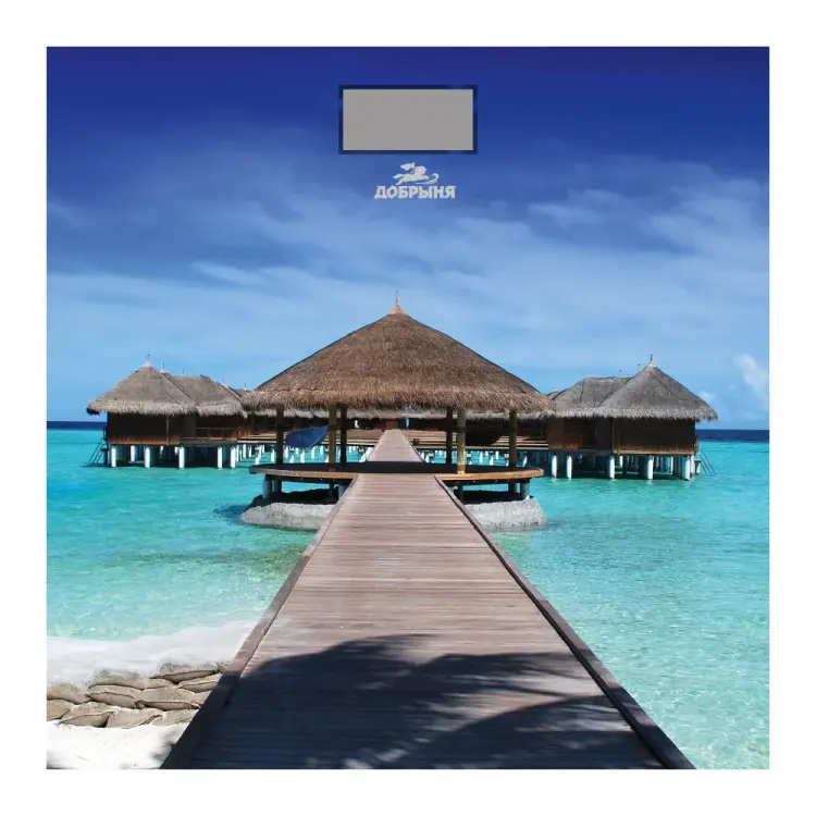 Весы Добрыня DO 3006M