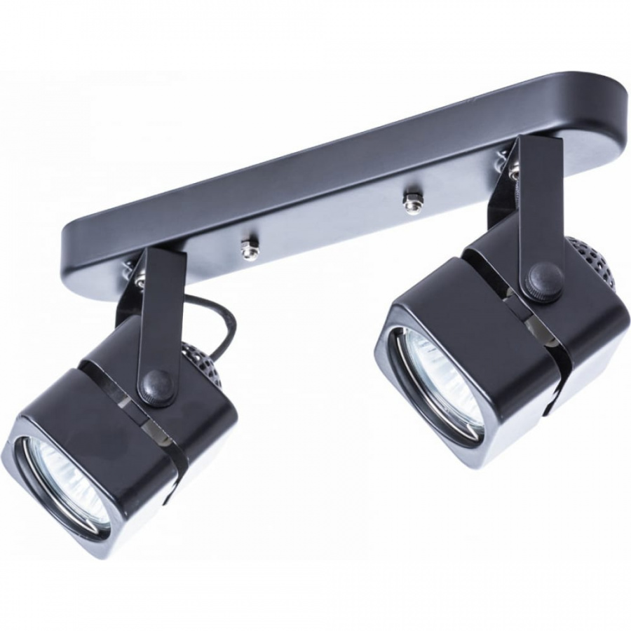 Потолочный светильник ARTE LAMP A1315PL-2BK