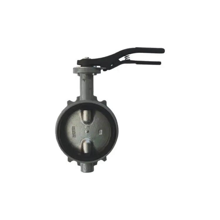 Дисковый поворотный затвор Giacomini DN65 R59WX006