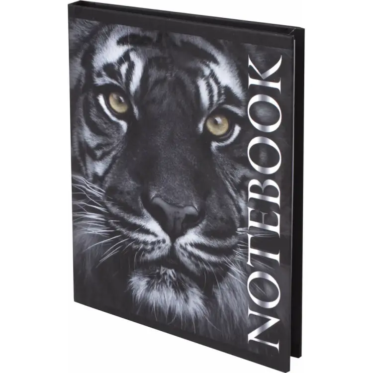 Блокнот BRAUBERG 123244