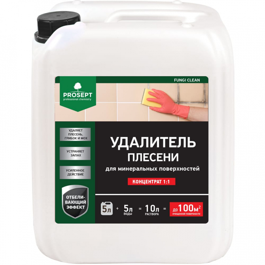 Удалитель плесени с минеральных поверхностей PROSEPT FUNGI CLEAN