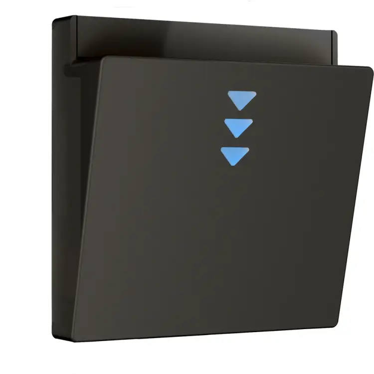 Накладка для электронного карточного выключателя WERKEL a062006