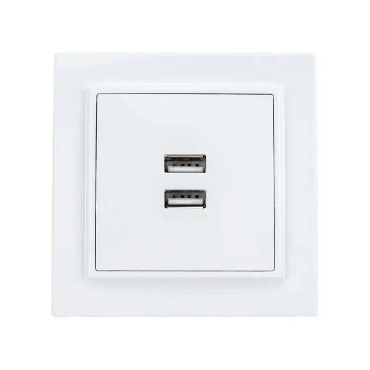 Двухместная розетка EKF Минск ERR-2USB-100