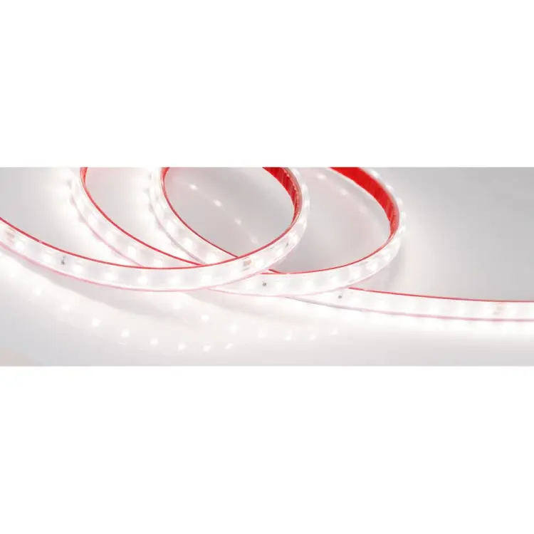 Герметичная светодиодная лента Arlight RTW-PS-A80-10mm 24V Day5000 024529(2)