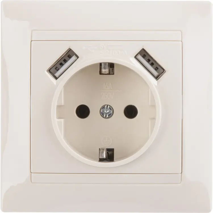 Розетка TDM ELECTRIC Лама SQ1815-0142