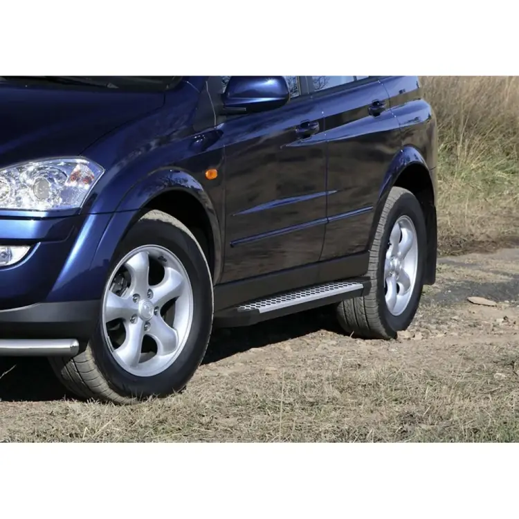 Пороги SsangYong Kyron I рестайлинг 2007-2015 Rival Bmw-Style круги D173AL.5301.1