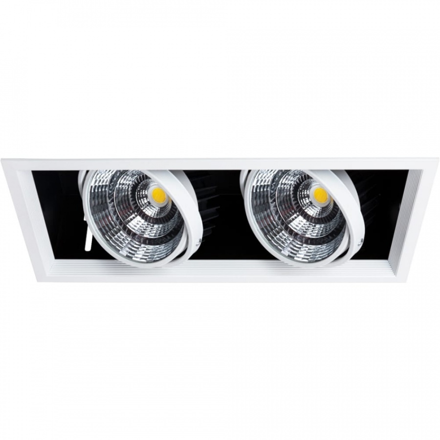 Потолочный светильник ARTE LAMP A8450PL-2WH
