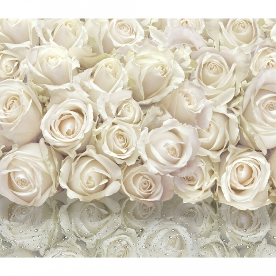 Фотообои Dekor Vinil Белые розы