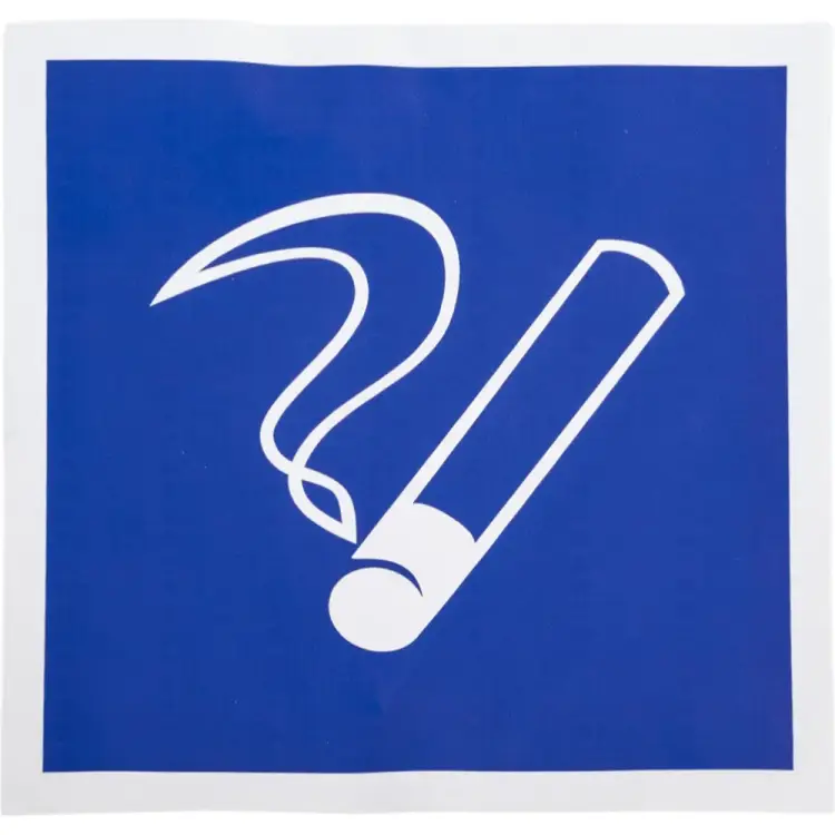 Информационная наклейка REXANT Место курения 56-0033