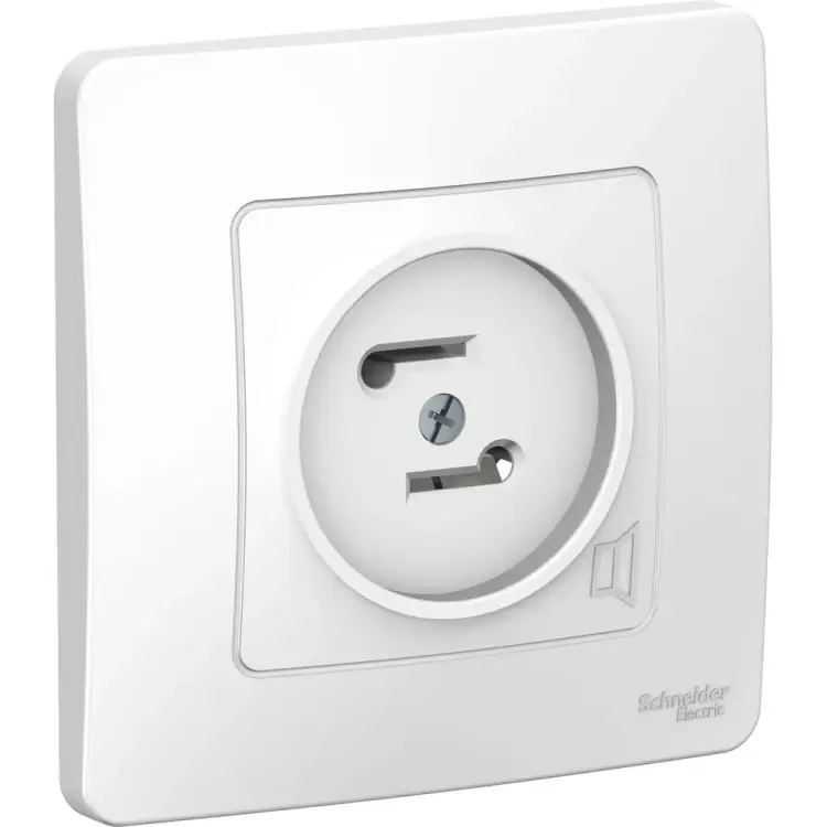 Розетка Systeme Electric Blanca BLNPS000011